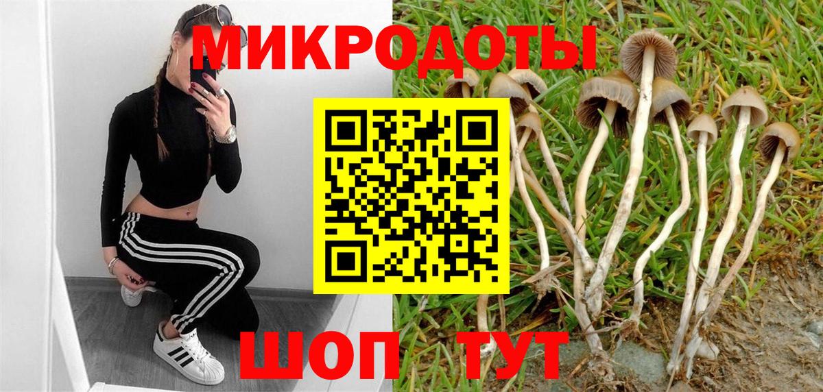 Псилоцибиновые грибы мухоморы Еманжелинск
