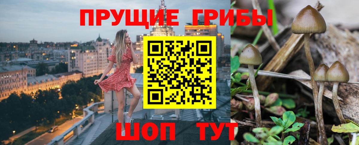 купить наркоту  Вход с VPN  Еманжелинск  Псилоцибиновые грибы ЛСД 
